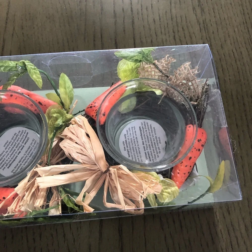 Pier 1 Imports Easter/Spring Decorative Tealight Carrot Wreath Ensemble Set NEW!